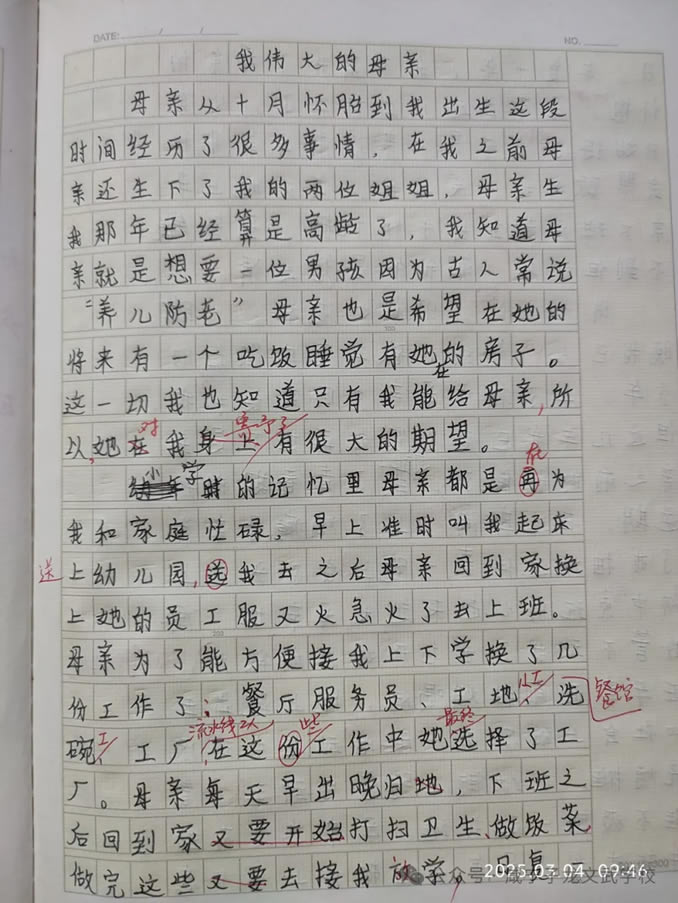 《我偉大的母親》子龍學(xué)生的一篇感人淚下的作文